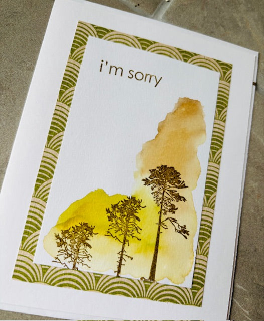 I'm sorry